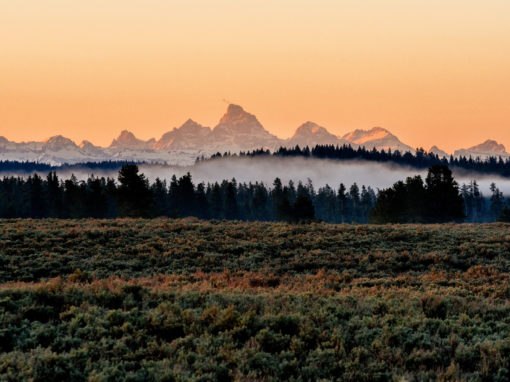 7-Day Signature National Parks & Wild Western Wyoming