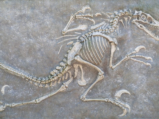 Dinosaur Digs