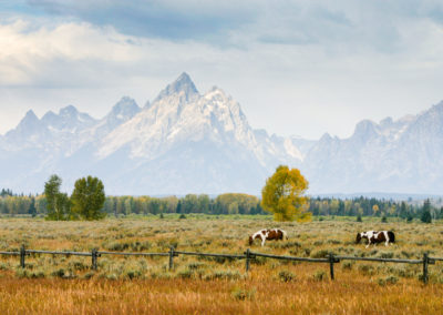 5-Day Classic National Parks & Wild Western Wyoming