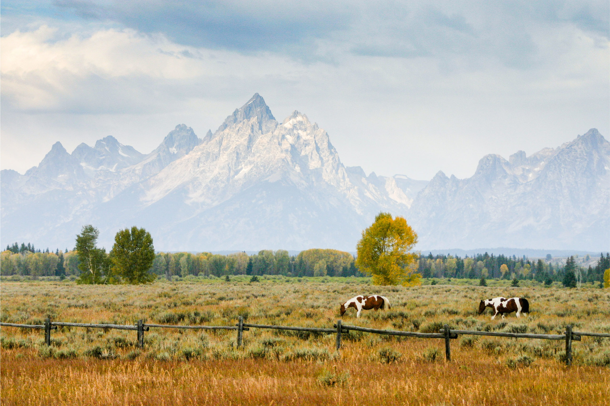 Yellowstone and Grand Teton Tours Great Western Expediitions
