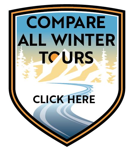 grand teton winter wildlife tour