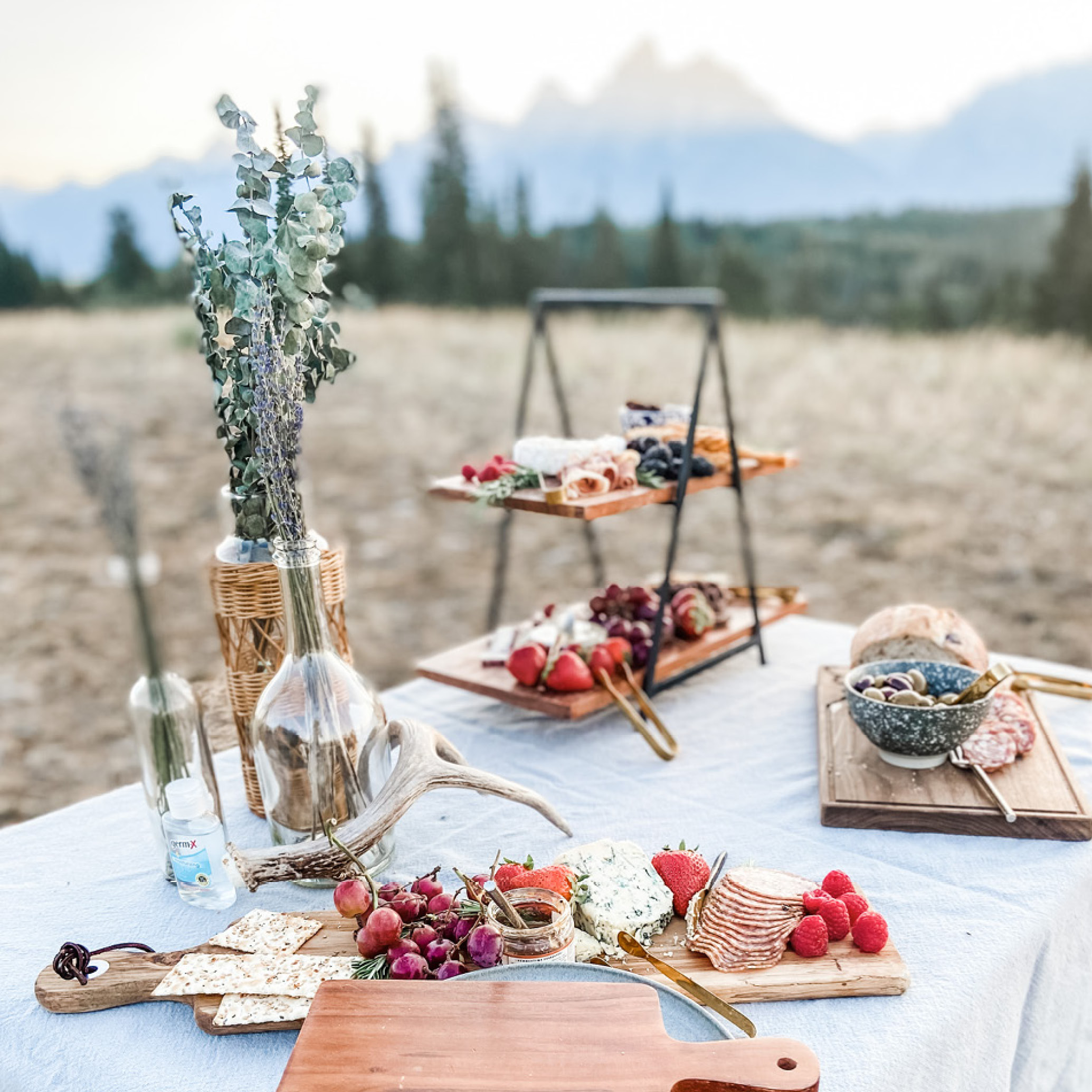 Elevated picnic setup during a Grand Teton tour with mountain views and curated outdoor dining