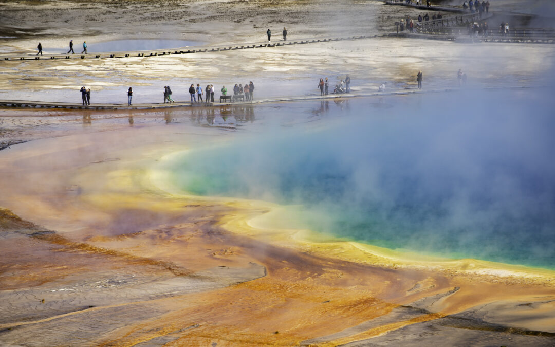 Why 5 days is the magic number?