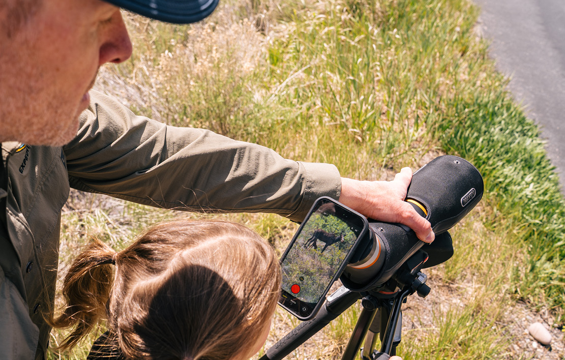 Scoping Wildlife, for all ages.  kid viewing a moose
