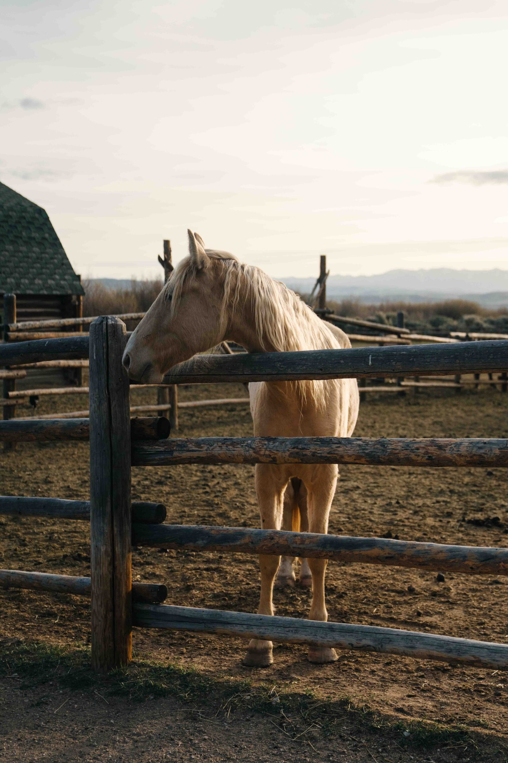 Great Western Expeditions | Beyond Jackson Hole
