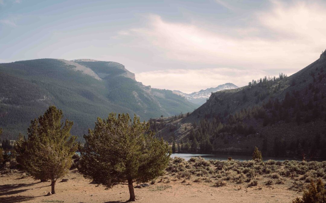 The Ultimate Wyoming Finale: Why We End Our Multi-Day Tours at 3 Spear Ranch