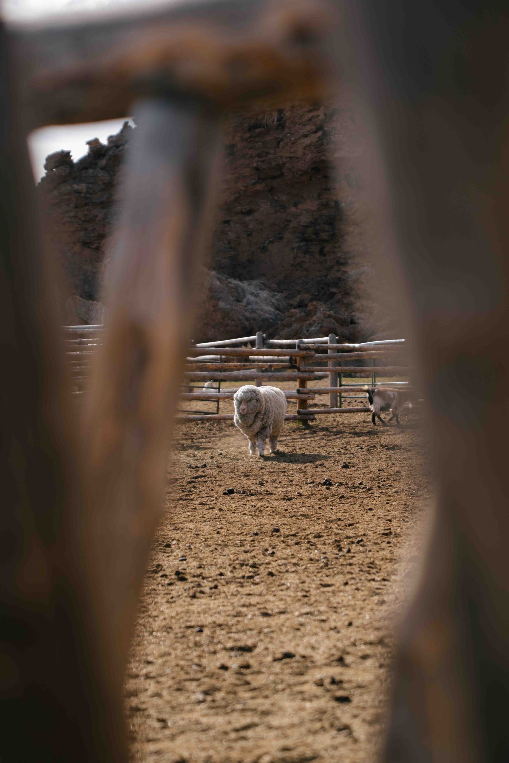 Great Western Expeditions | Beyond Jackson Hole
