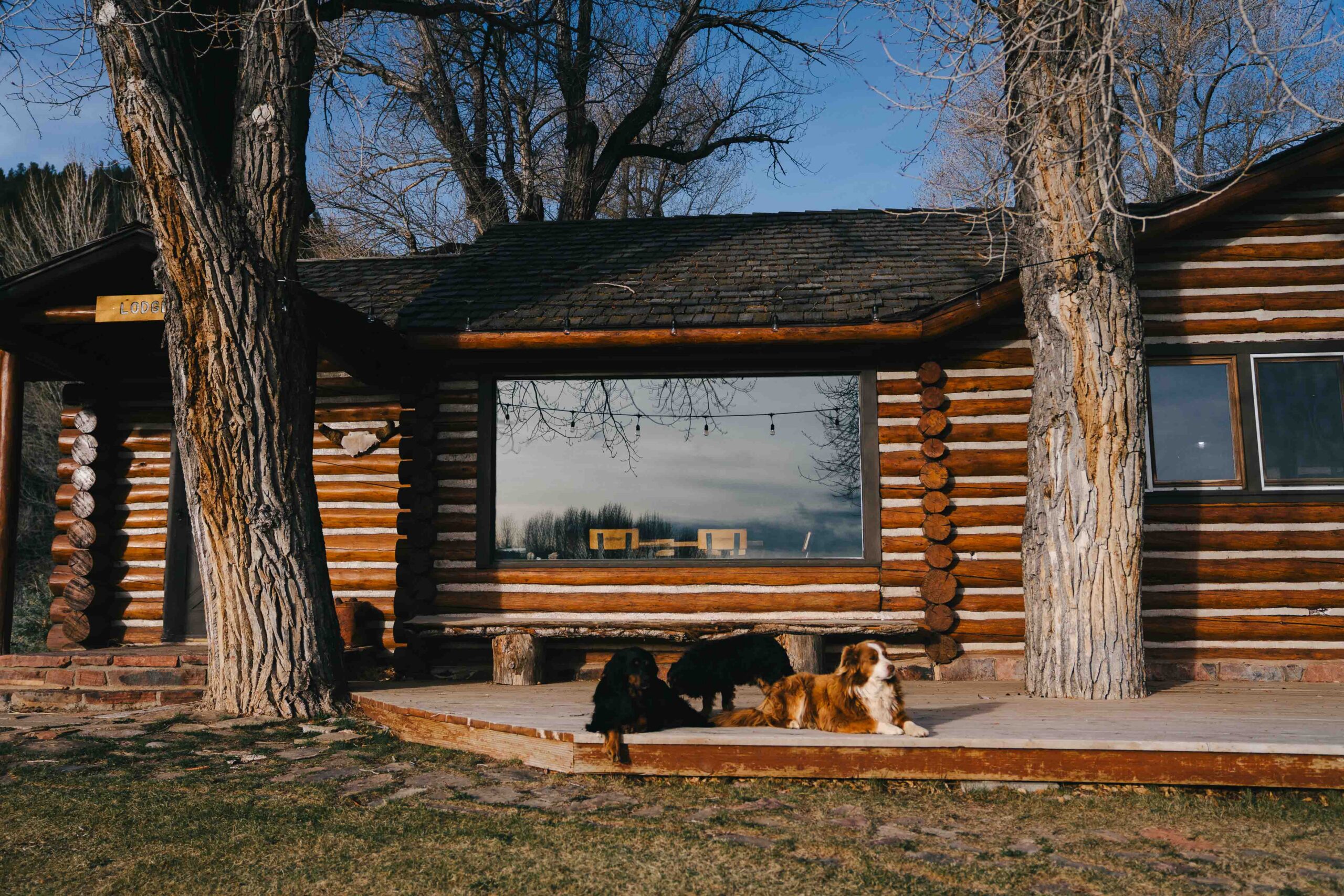 Great Western Expeditions | Beyond Jackson Hole