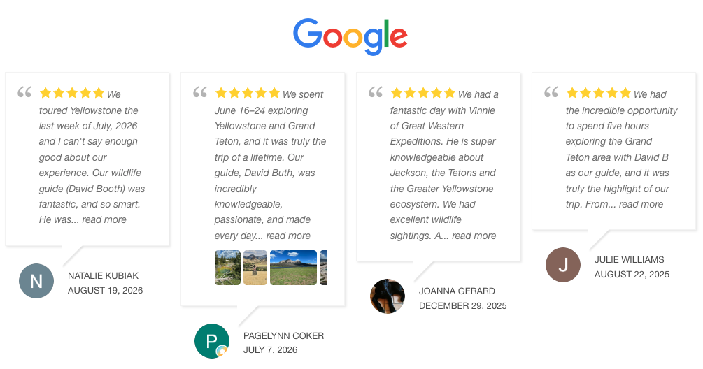 GWE Google Reviews2 Google reviews section