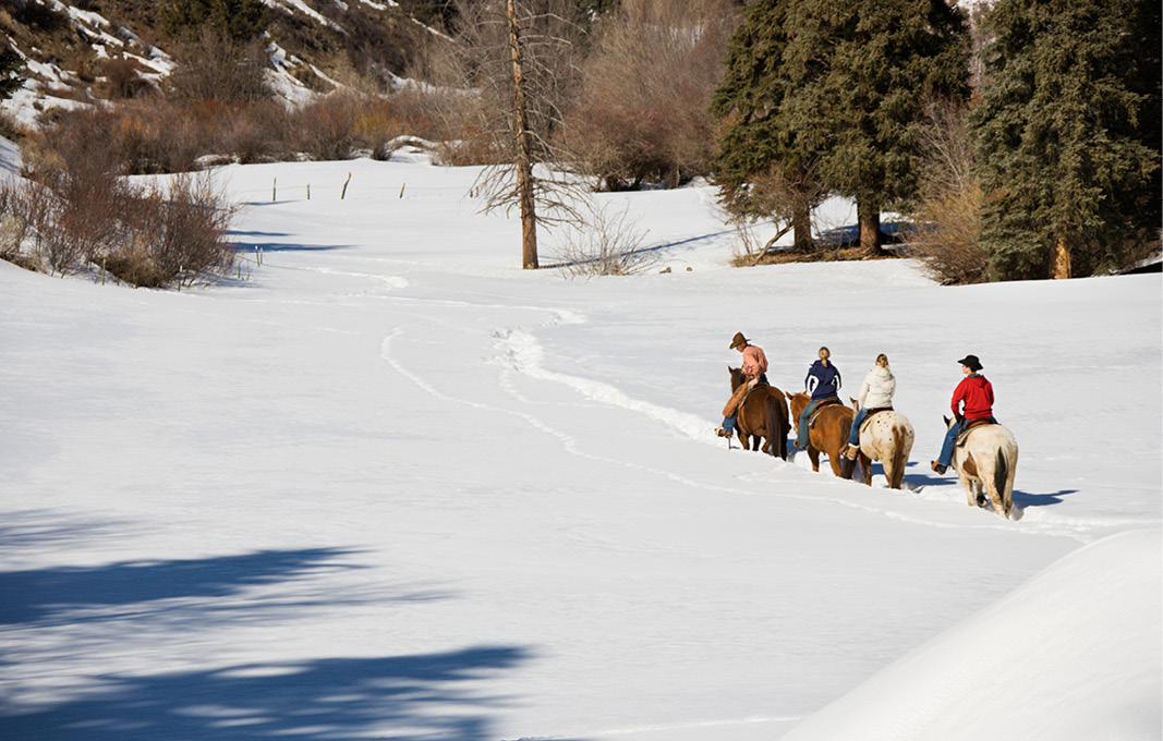 winter horseback group