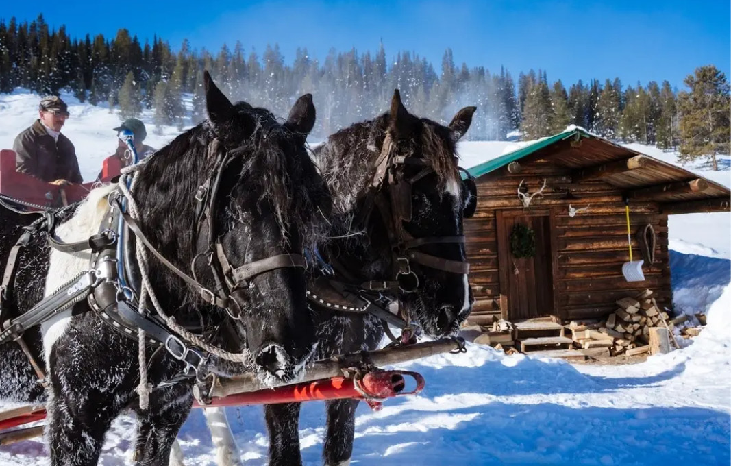 Little Jennie Ranch Sleigh ride