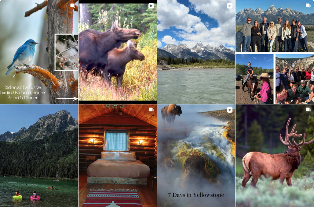 Instagram Feed